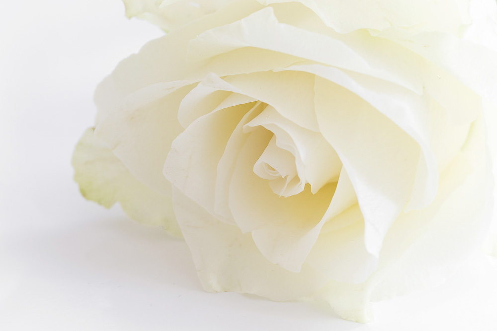 7. Platz Conny Kleiner